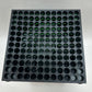 img-hash:284f40b41fa13383a4d1cd803979e4a1e05981f95d40e8fd764e345df634dd75